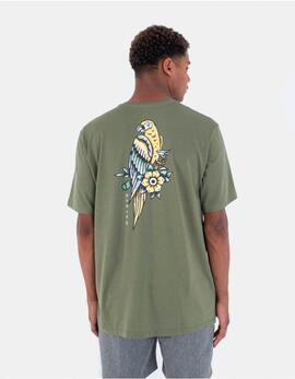 Camiseta PARROT LAD - Malverde