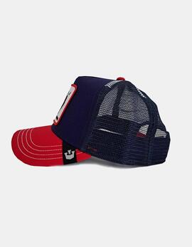 Gorra GOORIN BROS RACING BULL - Navy