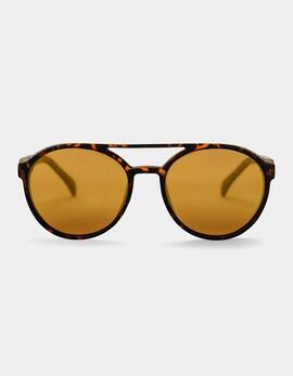 Gafas CHPO RICKARD - Brown